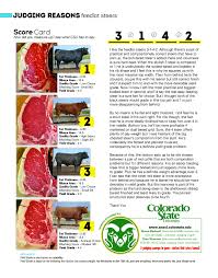 Drive Livestock Homepage Livestock Judging Beef Cattle Livestock
