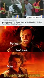 Force Is Strong With That Doggo R Prequelmemes Prequel Memes Know Your Meme