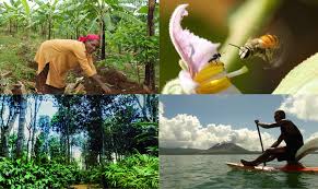 Ecosistema