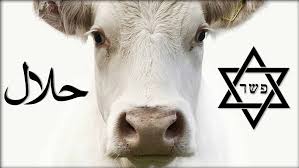 Humane Halal & Kosher Kind | Mercy In Slaughter