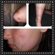 Third place in both motos, holeshot in second