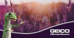 Managing your geico policy online is easy. Geico Joins Us Equestrian As Official Sponsor Of Us Equestrian And Official Us Equestrian Memberperk Us Equestrian