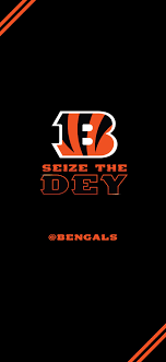 Search hd desktop wallpapers and download them for free. Cincinnati Bengals Wallpapers Top Free Cincinnati Bengals Backgrounds Wallpaperaccess