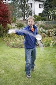 Dunger Fur Den Garten Mit Diesen Kommen Sie Aus Garten Garten Landschaftsbau Gartenpflege