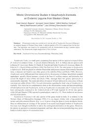 Image result for Dolichos junodii