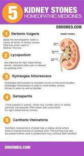 Homeopathic Medicines For Kidney Stones Are Very Effective In Treating Them Berberis Is For Le Homeopathy Remedies Homeopathic Medicine Homeopathic Treatment