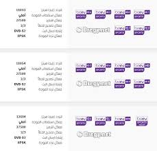 اليوم البث المباشر بي ان سبورت ‎ was live. Ø´Ø§Ù‡Ø¯ Ù‚Ù†Ø§Ø© Ø¨Ù‰ Ø§Ù† Ø³Ø¨ÙˆØ±Øª Ø¨Ø« Ù…Ø¨Ø§Ø´Ø± Bein Sport Live Ø§Ù„Ù†Ø§Ù‚Ù„Ø© Ù„Ø¯ÙˆØ±Ø© Ø§Ù„Ø§Ù„Ø¹Ø§Ø¨ Ø§Ù„Ø§ÙˆÙ„Ù…Ø¨ÙŠØ©