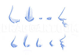 How to draw an anime nose from the front. How To Draw Manga Noses Step By Step Drawing Guide By Dawn Dragoart Com