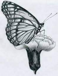 Gli esperti dicono che l'arte di colorare libera la mente dai pensieri spazzando via ansia e brutti pensieri. Disegni A Matita Fiori E Farfalle Coloring And Drawing
