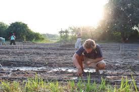 We did not find results for: How To Prepare A Garden Bed For Vegetable Growing 10 Steps For Healthy Soil And A Better Harvest Flowful