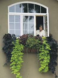 Window boxes can really make the exterior of your home attractive. Hayracks Henderson Supply Tagged Hayrack Henderson Garden Supply
