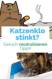 4 Grunde Warum Dein Katzenklo Stinkt Geruch Neutralisieren Tipps In 2020 Katzen Klo Katzenklo Katzen