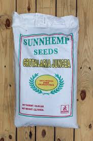 Image result for Crotalaria juncea