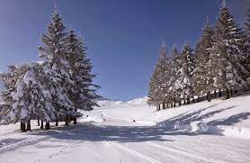 Val d'azur b&b reviews, carqueiranne. Domaine Nordique Val D Azun Presentation Sports Infos Ski Biathlon