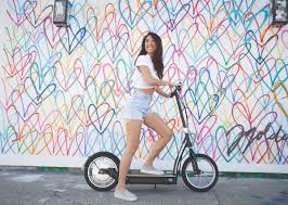 Scooter are a german techno group founded in hamburg. Razor Launches A New Lineup Of Affordable Electric Scooters For Adults The Verge