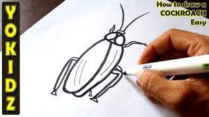 Drawing objects with vertices and hard edges. How To Draw A Cockroach Easy Youtube