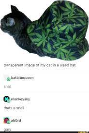 Pin On Funny