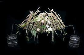 Cara unik merangkai bunga altar untuk masa natal, diperagakan oleh tim perangkai bunga paroki keluarga kudus cibinong pada hari selasa 24 desember 2019. Florist Asal Brisbane Akan Wakili Australia Di Piala Dunia Merangkai Bunga Abc News