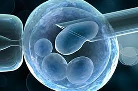 Malaysia is all known to us today as one of the most prime developing countries among all asian countries around the world. Alpha Ivf Fertility Center Malaysia High Success Rate Ivf Treatment