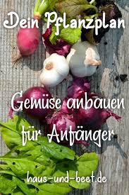 Erstelle Deinen Pflanzplan Fur Gemuse Mit Beispielen In 2020 Pflanzplan Garten Bepflanzen Gemuse Pflanzen