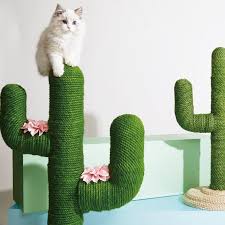 Cat scratching rug foldable cat scratcher mat cat scratcher pad for home cat. Pin On Cats