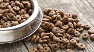 Large breed puppies need a little something extra because they have so much more growing to do. Fromm Dog Food Reviews Coupons And Recalls 2021