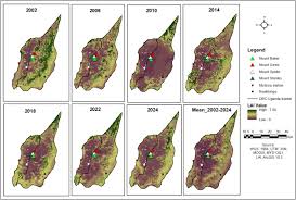 Image result for Aster milanjianus