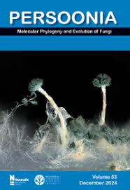 Image result for Adenolobus pechuelii