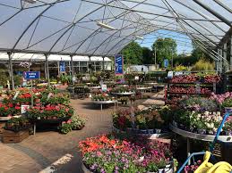 Maybe you would like to learn more about one of these? Garden Centres In Ireland