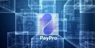 Hasil gambar untuk image paypro