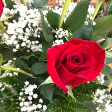 Maybe you would like to learn more about one of these? Flowers By Roger Inc Home Facebook