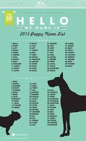 52 Best Big Dog Names Ideas In 2021 Names Dog Names Big Dog Names