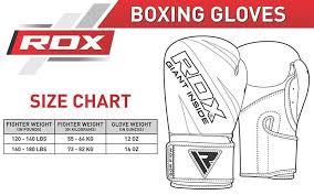 Boxing Gloves Rex F10 White