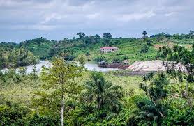 Its principal exports are iron ore, rubber, diamonds, and gold. How To Stay Healthy In Liberia Hygiene Tips