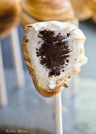 Toasted S More Truffle Pops Recipe Ashlee Marie Smores Cake Food Smores