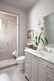 60 Good Small Master Bathroom Ideas Coastal Bathroom Design Guest Bathroom Small Small Master Bathroom