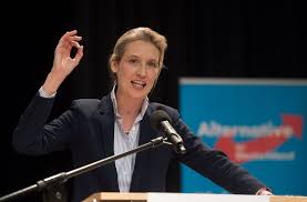 Alice weidel ist spitzenkandidatin der afd für die bundestagswahl am 24. Afd Spitzenkandidatin Alice Weidel Scharfe Tone Politik Stuttgarter Zeitung