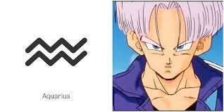 Dragon ball z zodiac signs. Which Dragon Ball Z Character Are You Based On Your Astrology Type