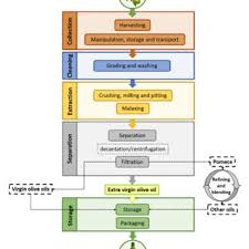 Pdf Bioactive Compounds And Quality Of Extra Virgin Olive Oil