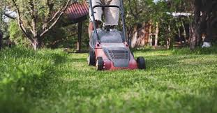 Gleichzeitig hinderst du unkraut daran, sich auszubreiten. Die 3 Besten Rasenmaher Mit Mulchfunktion 2021 Im Test Garten Schule