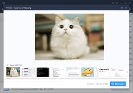Dengan kata lain, perangkat keras merupakan komponen pada komputer yang bisa dilihat, disentuh, dan diraba. 5 Langkah Pulihkan Data File Penting Hilang Di Laptop Dengan Mudah Solopos Com Panduan Informasi Dan Inspirasi