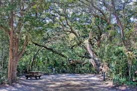 Maybe you would like to learn more about one of these? A Guide To The Beaches Near St Augustine Fl Visit Florida