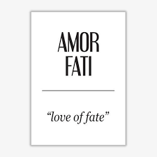 East Urban Home Amor Fati Typography Print On Paper Wayfair Co Uk Typography Prints East Urban Home Home Poster