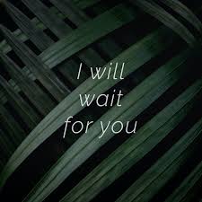 I will wait for you. natsumi:' i'll wait, until you feel you can tell me everything. I Will Wait For You Meme