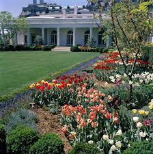 Jackie Kennedy S Handmade Scrapbook Offers A Rare Glimpse Of Rose Garden S Birth White House Garden Handmade Scrapbook Kennedy