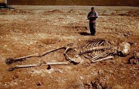 Officiellement, l'homme le plus grand du monde mesurait 2,72 mètres. Universite Du Quebec A Trois Rivieres Departement D Anatomie