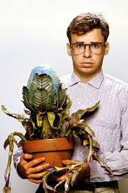 Pin By Brigette Hufford On Movies Little Shop Of Horrors Little Shop Of Horrors Costume Movies