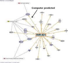 Diagram of normal heart contrasted with heart defects associated with tetralogy of fallot. Cells Free Full Text Microrna 421 Dysregulation Is Associated With Tetralogy Of Fallot Html
