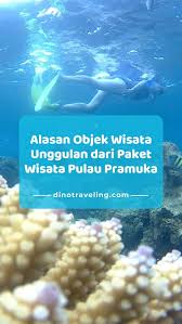 Alasan Objek Wisata Unggulan Dari Paket Wisata Pulau Pramuka Pulau Pramuka Kepulauan