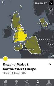 The 'northwestern europe' part is what confuses me a little. Reading Your Ancestry Com Results The Ultimate Guide Familyeducation